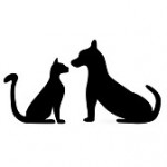 Cat-dog silhouette